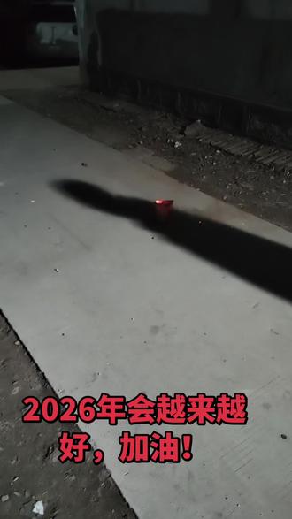 #放烟花 2026年会越来越好,加油!