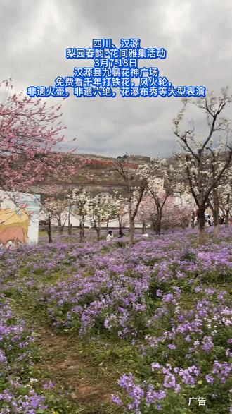 汉源春日顶流来了!梨园春韵·花间雅集3月7日至18日,九襄花神广场免费开放!千年打铁花、非遗风火轮、火壶、非遗六绝、花瀑布秀,大型表演轮番炸场。梨花与灯火同框,浪漫又震撼,免费打卡快出发!#强强团队 #美食节 #假期游玩打卡 #人山人海太热闹了 #放假了去哪玩