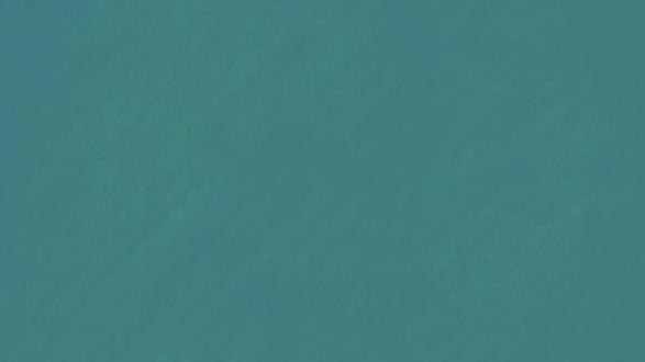 第45集:《施耐庵传》 如果你困惑于如何将一群个性张扬的年轻人凝聚成一支能成事的团队,《水浒传》是一部生动的“古典组织行为学”教材。施耐庵深刻揭示:真正的团结,源于共同愿景的感召、公平规则的建立与个体价值的兑现。梁山好汉的聚义与成长故事,为现代团队建设与青年培养,提供了一个关于包容、塑造与升华的宏大启示。#施耐庵 #团队建设 #青年成长 #组织管理 #水浒智慧