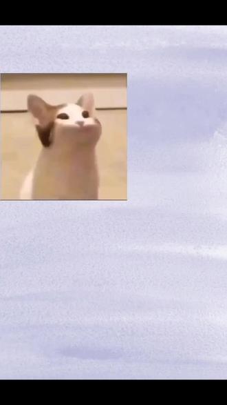 重生之我要狠狠曝光这个南瓜@𝑇.南瓜🎃 ⁰⁴²⁹ #快来看看 #听潮阁南瓜 #听潮阁群星之约二创 #重生文