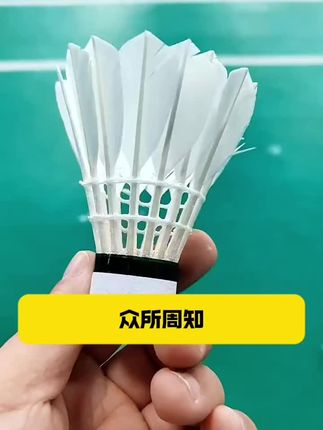 耐打的鹅毛羽毛球,羽毛球爱好者可以闭眼入。#鹅毛羽毛球 #飞行羽毛球 #全圆羽毛球 #羽毛球推荐 #羽毛球推荐性价比高耐打