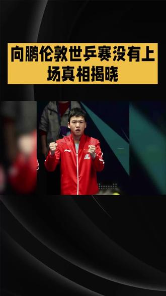 向鹏伦敦世乒赛没有上场真相揭晓 #国乒 向鹏伦敦世乒赛没有上场真相揭晓