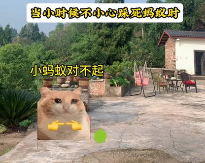 当小时候不小心踩死蚂蚁时#猫meme #猫meme小剧场