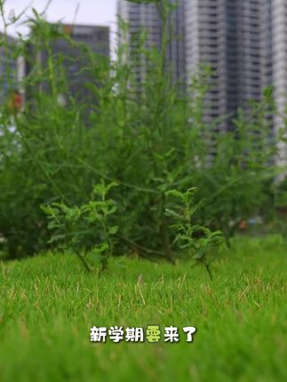 立秋了孩子穿的板鞋可以准备起来啦,女童鞋子,男童休闲鞋#好鞋推荐 #宝藏鞋子 #哎哟喂你鞋真好看 #童鞋 #儿童板鞋