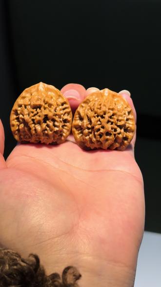 原树秦闷镜面打底结束,抗打吗?
#秦闷 #秦闷狮子头 #秦闷核桃