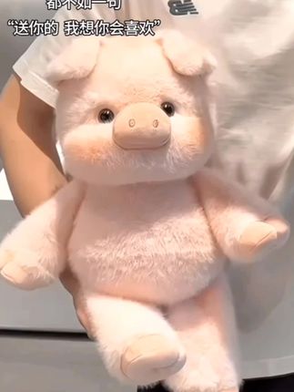 #跑跑小猪#毛绒公仔#玩偶#生日礼物#好物推荐🔥