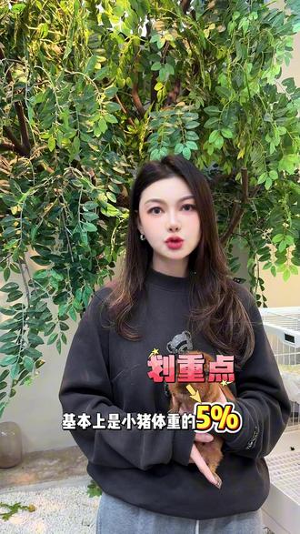 #科学养宠攻略 #宠物知识 #SLETN三里豚 #新手养荷兰猪 #荷兰猪吃什么