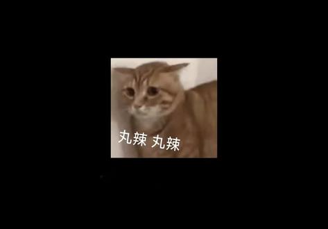 搜题酱在手
网课不怕了##大学生#网课#学习通#网课答案#网课作业