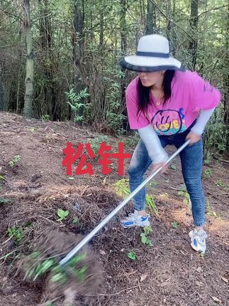 各位兰友大家好,有需要的点击下方连接下单