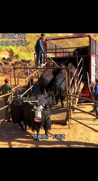 再捣我一下试试,你个火星蛋子!