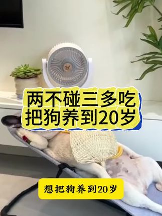 养狗记住两不碰三多吃把狗养到20岁 #养狗经验分享 #养狗人 #养狗小知识 #狗狗 #宠物狗