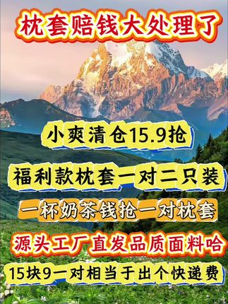 姐妹们,你们赶紧去抢这个枕套啊!它现在是福利价格,特别合适!它这个面料摸起来软绵绵的,很舒服,一年四季都可以用,而且脏了可以直接机洗。关键是这个价格真的太划算了,你们赶紧去看看还有没有库存,有的话就赶紧拍两单,这么好的东西可别错过了!#家庭 #宝妈 #好物推荐🔥 #家纺床上用品 #家庭日常