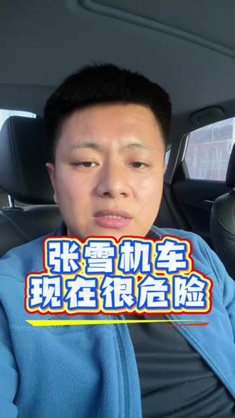 张雪机车到了最危险的时刻#张雪机车 #魏建军#雷军