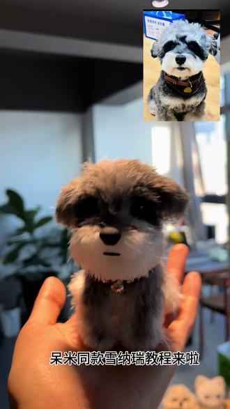 要雪纳瑞教程的宝子快来收教程哦#扭扭棒教程