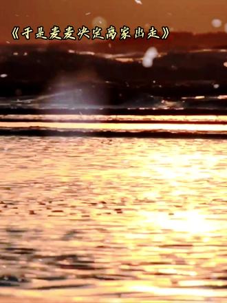 什么离家出走了 #于是麦麦决定离家出走 #广播剧#猫耳fm#cv#声优