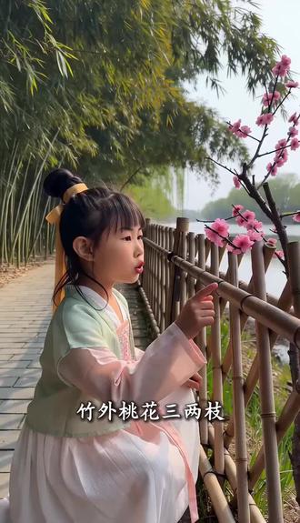 《惠崇春江晚景》#苏轼