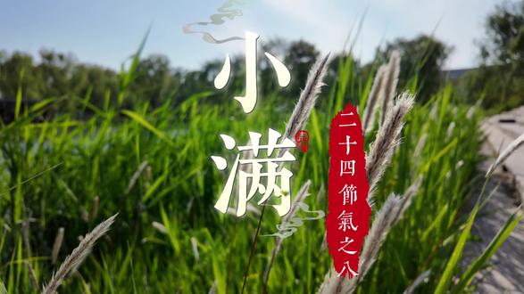 二十四节气之小满#二十四节气 #小满 #幼儿园节气活动 #非遗文化 #香包 @是长颈鹿~呀! @6020 @小哈米
长夏渐盛,幸福初盈,不求完美,但愿小满。