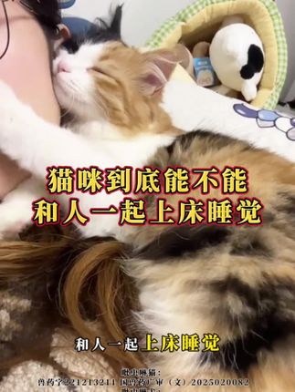 猫狗身上有寄生虫真的很难受,而且还会传染给人!所以一定要每月给它们做好驱虫哦!#猫咪驱虫 #狗狗驱虫 #宠物驱虫 #萌仆 #养猫新手
