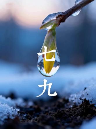 七九河开,春日渐暖 七九,是冬至起数的第七个九天,民间有“七九河开”之说,冰雪消融,春日渐近。寒冬已过,暖意归来,愿你所求皆如愿,所行皆坦途,日子蒸蒸日上,岁岁平安喜乐。#七九 #数九寒天 #七九河开 #春天来了 #冰雪消融 #愿一切美好如期而至