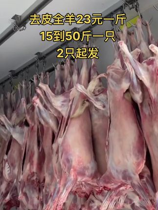 去皮全羊23元一斤，15到50斤一只，2只起发#全羊 #去皮全羊 #牛羊肉批发 #支持全国发货