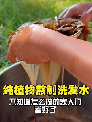 #熬制洗发水 #纯植物 #养发护发 侧柏叶/皂角/首乌/无患子~二十多种纯植物,古法老方熬制!!#洗发水 #洗发水推荐