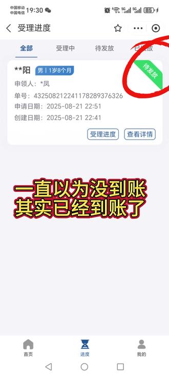 一直以为没到账,其实已经到账了#育儿补贴 #耒阳 #育儿补贴湖南 #龙宝宝