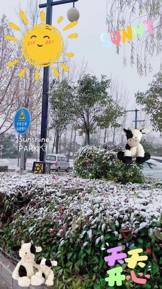 记录河津2025年的第一场雪🌨️