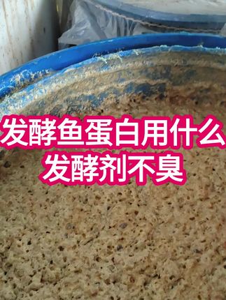 要想发酵的鱼蛋白肥不臭,一定要选对发酵剂。就有这个鱼蛋白专用发酵剂,鱼分解的快,不烧苗,肥效高。发酵的鱼不臭还有注意使用的红糖,用食用红糖比较好,含糖量达到50%,密封好,选择带盖子的发酵桶比较好。注意这几点,发酵的鱼蛋白是没有臭味的。#鱼蛋白发酵用什么发酵剂 #鱼蛋白发酵菌 #鱼蛋白水溶肥 #鱼蛋白发酵技术 #鱼肥发酵