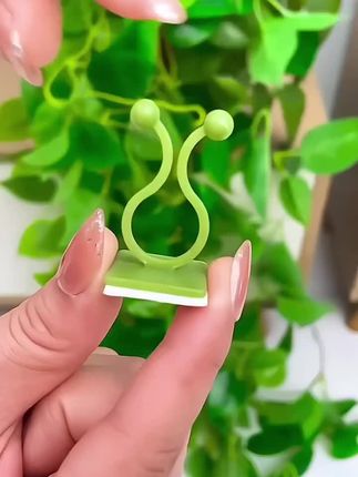 藤蔓绿植室内免钉打孔贴墙式挂钩绿萝爬墙扣神墙上固定器无痕攀爬#绿箩固定 #绿箩固定钩 #绿箩固定器 #绿植爬墙固定器