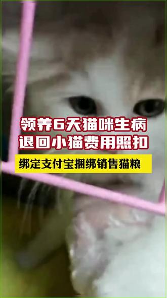 绑定支付宝,猫咪贷变套路贷?