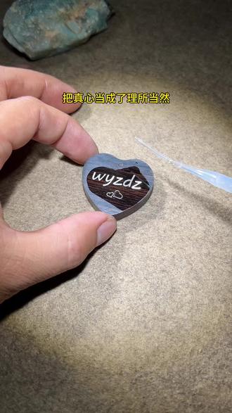 你知道wyzdz是什么意思吗?#手工diy #我一直都在