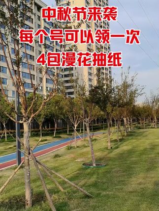 快快快,中秋节来袭,漫花抽纸有活动,4大包才这价钱,趁划算,兄弟姐妹们,抓紧囤起来#囤纸 #新人福利第一单 #生活用纸#抽纸 #无限回购的宝藏单品