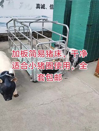 #母猪双体产床 #所有养猪人 #限位栏