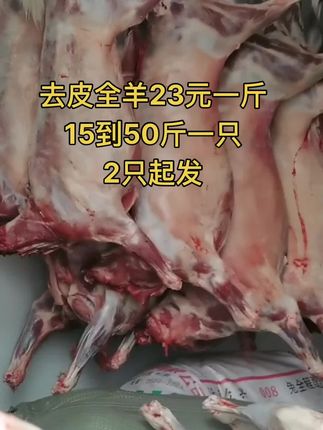 去皮全羊23元一斤，15到50斤一只，2只起发#全羊 #去皮全羊 #牛羊肉批发 #支持全国发货