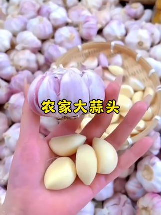 #紫皮大蒜 #优质农产品 #大蒜 ,#农家大蒜#新鲜大蒜
