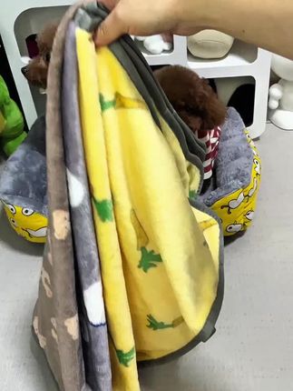 天冷了,这种便宜又实用的小毛毯,一定要多备几条#科学养宠 #宠物用品