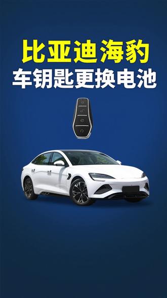比亚迪海豹车钥匙电池如何更换!比亚迪海豹车钥匙换电池!比亚迪海豹车钥匙电池更换教程!比亚迪海豹车钥匙电池没电了怎么办!比亚迪车钥匙型号是什么!#车钥匙电池更换 #比亚迪海豹 #车钥匙没电了怎么换电池 #汽车钥匙电池 #车钥匙换电池