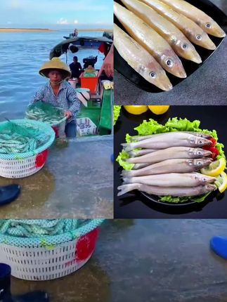 沙丁鱼69元到手4斤,厂家发福利了数量不多@DOU+上热门 @DOU+小助手 @DOU+好生意