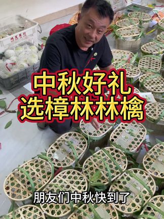 中秋好礼,林檎相送。#我的乡村生活 #农村 #樟林林檎 #潮汕特产@抖音小助手