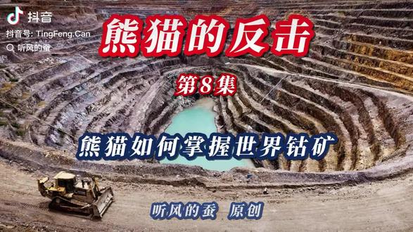 熊猫如何掌握世界钴矿