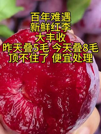#三华李 #抖音助农 #优质农产品 #快来一起尝个鲜#李子熟了