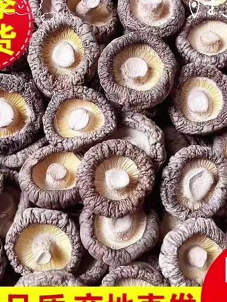 #优质农产品 #香菇 #香菇干