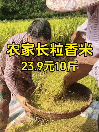 快来试试我家这个大米,好吃又划算#大米 #长粒香大米 #猫牙米