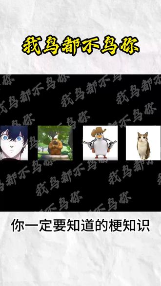 什么是我鸟都不鸟你#梗百科#搞笑#我鸟都不鸟你