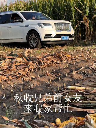 丰收的季节到了#秋收
