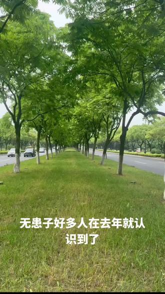 你们那里的无患子开花了吗?#大自然的馈赠