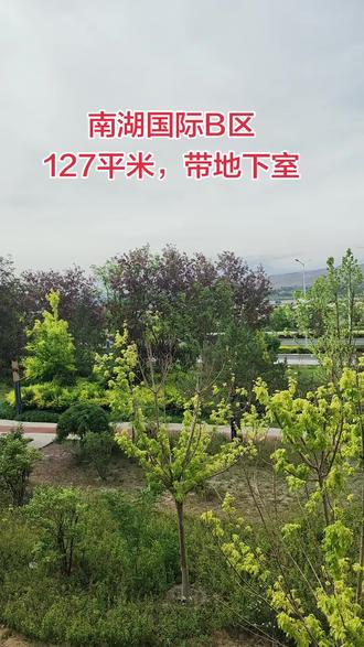 南湖国际B区 小区不用买车位,不用交停车费,环境好基装已完成,添置家具家电