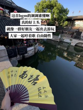 清风白昼 翻过了九州 天高任我游 我在雪下白了头#情字最大浅影版#好有活人感的bgm