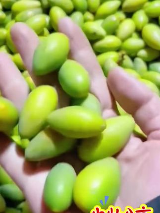 #快来一起尝个鲜 闽侯新鲜青橄榄#应季水果 #青橄榄