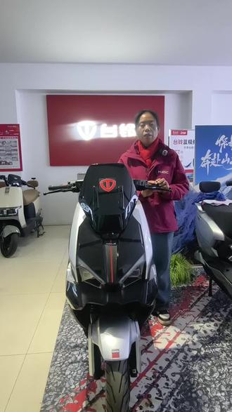 台铃王者把手多能操控 骑行🚴🏻♀️安全便捷两不误#台铃暖冬换新#台铃王者#台铃钠电#潜江三江小丰车行